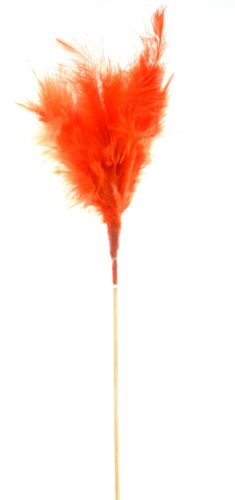 VEER OP STOKJE ROOD 10