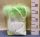 GROEN/BOA TAS 23CM
