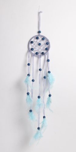 DROMENVANGER L.BLAUW+VEREN 8+35