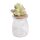 Houder met cactusdop lichtgroen 11