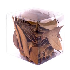 CITROEN JUNOS NATUURLIJK HOUT