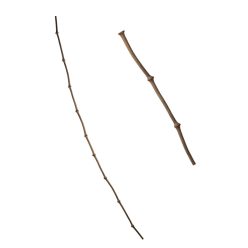 BAMBOE TERRAS 150CM