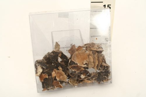 PADDENSTOEL 45G