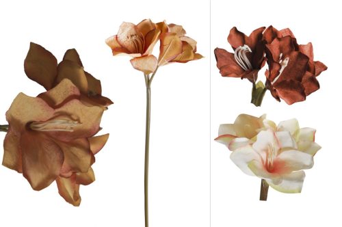 AMARYLLIS 3BLOEM 3S 67CM