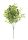 ACACIA TAKKENBOS 5 TAKKEN GROEN 36CM