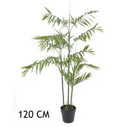 BAMBOEPALM GROEN     120CM