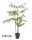 BAMBOEPALM GROEN     120CM