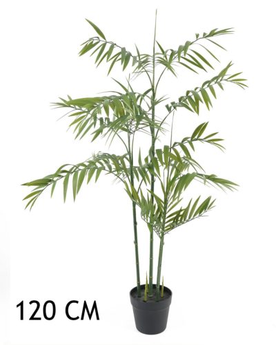 BAMBOEPALM GROEN     120CM