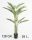 GOUDPALM 4STAMMEN/26L.128CM
