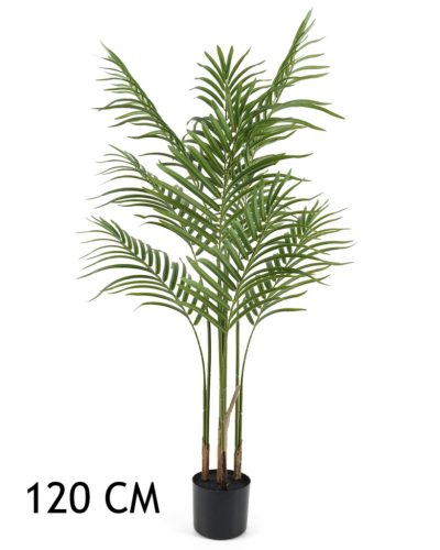 GOUDPALM 4STAMMEN 120CM