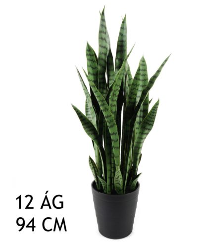 SCHOONMOEDERTONG GROEN 12BL 94CM