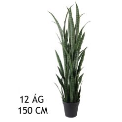SCHOONMOEDERTONG GROEN 12BL 150