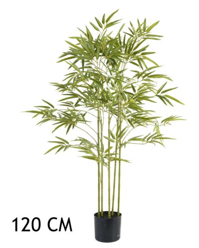 BAMBOEBOOM 5TAKKEN         120CM
