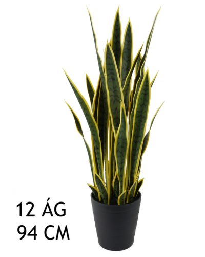 SCHOONMOEDERTONG GROEN/GEEL 12BL94CM