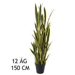 SCHOONMOEDERTONG GROEN/GEEL12BL150CM