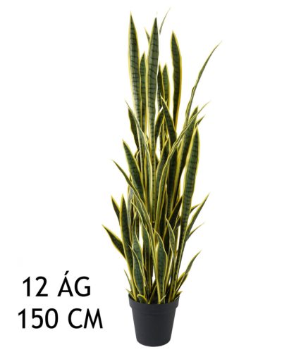 SCHOONMOEDERTONG GROEN/GEEL12BL150CM
