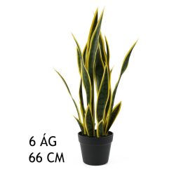 SCHOONMOEDERTONG GROEN/GEEL 6BL 66CM