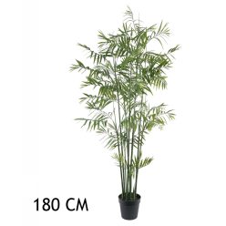 BAMBOEPALM GROEN     180CM