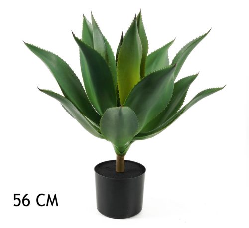 AGAVE GROEN 56CM