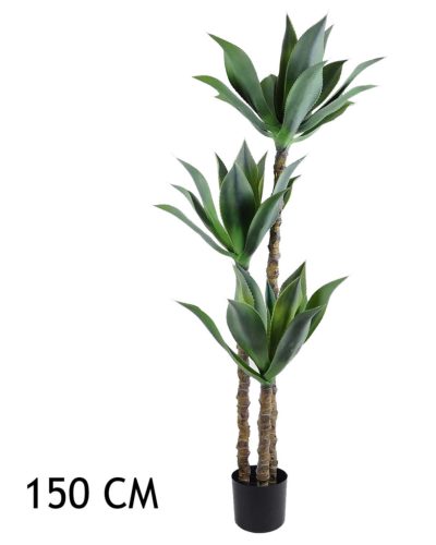 AGAVE 3 STAMMEN 150CM