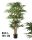 BAMBOEBOOM 6TAKKEN 850BLAD.GROEN150