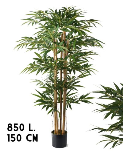BAMBOEBOOM 6TAKKEN 850BLAD.GROEN150