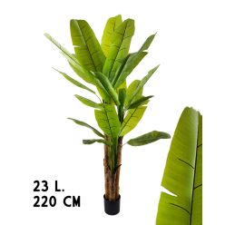 BANAANBOOM 3TAK GROEN 23BLAD. 220