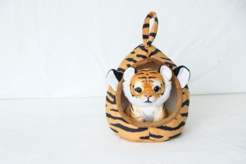 TIJGER+HUIS BRUIN 15/17