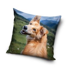 Honden kussensloop 40x40 cm