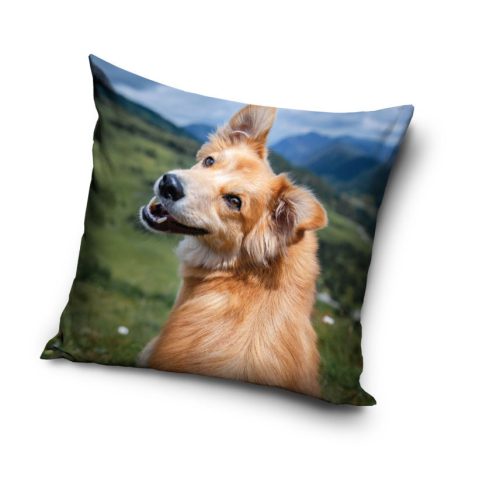 Honden kussensloop 40x40 cm